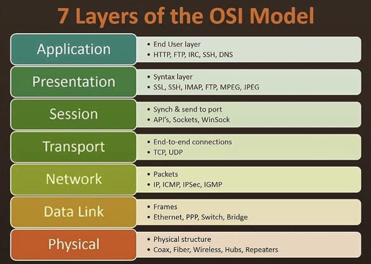 7 Layers of OSI Model