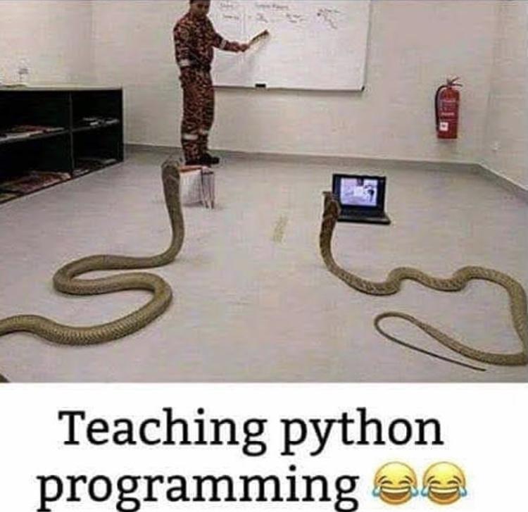 Teachin Python Programming